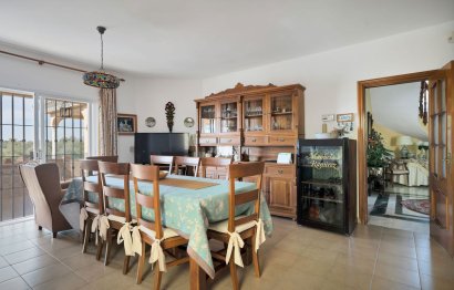 Resale - House - Detached Villa - Marbella - San Pedro De Alcantara