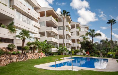 Resale - Apartment - Ground Floor Apartment - Marbella - Marbella Centro