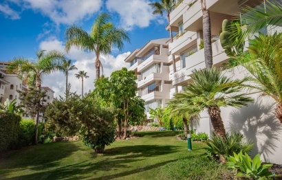 Reventa - Apartment - Ground Floor Apartment - Marbella - Marbella Centro