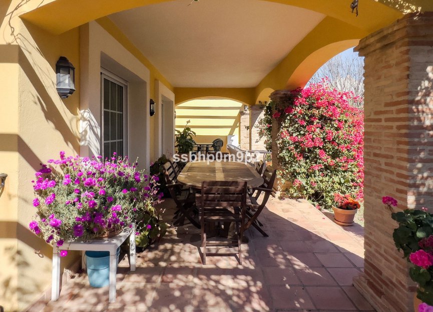 Resale - House - Semi-Detached House - Marbella - Marbella Centro