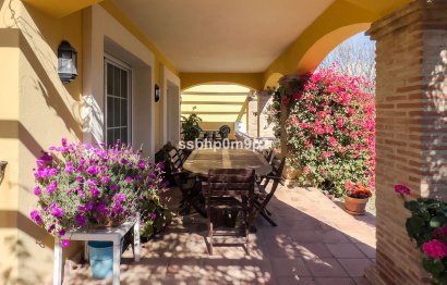 Resale - House - Semi-Detached House - Marbella - Marbella Centro