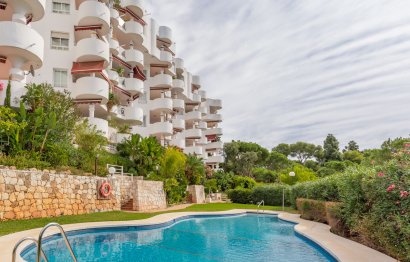 Resale - Apartment - Ground Floor Apartment - Marbella - Río Real