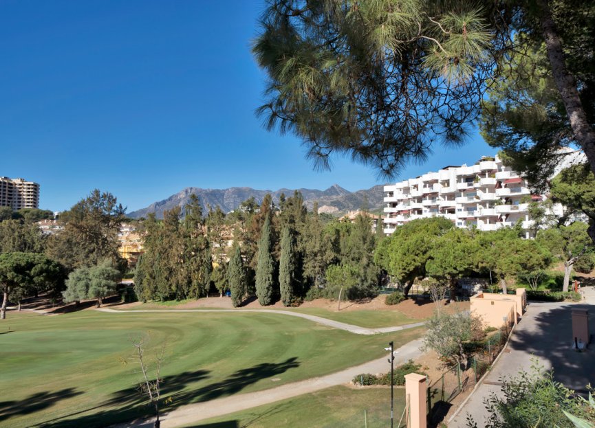 Resale - Apartment - Ground Floor Apartment - Marbella - Río Real