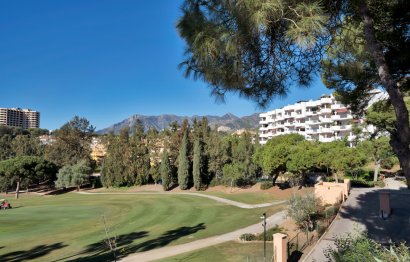 Resale - Apartment - Ground Floor Apartment - Marbella - Río Real