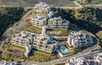 Resale - Apartment - Ground Floor Apartment - Marbella - Nueva Andalucia