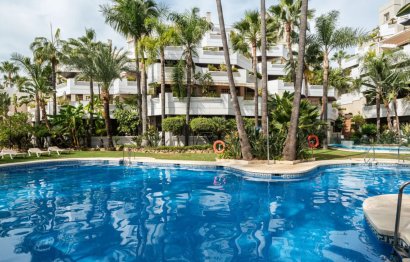 Reventa - Apartment - Penthouse - Marbella - Nueva Andalucia