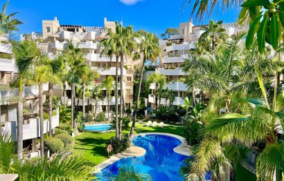 Resale - Apartment - Penthouse - Marbella - Nueva Andalucia