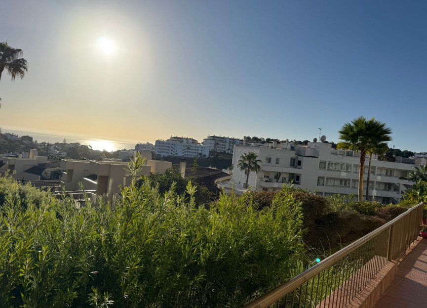 Resale - Apartment - Ground Floor Apartment - Mijas - Riviera Del Sol