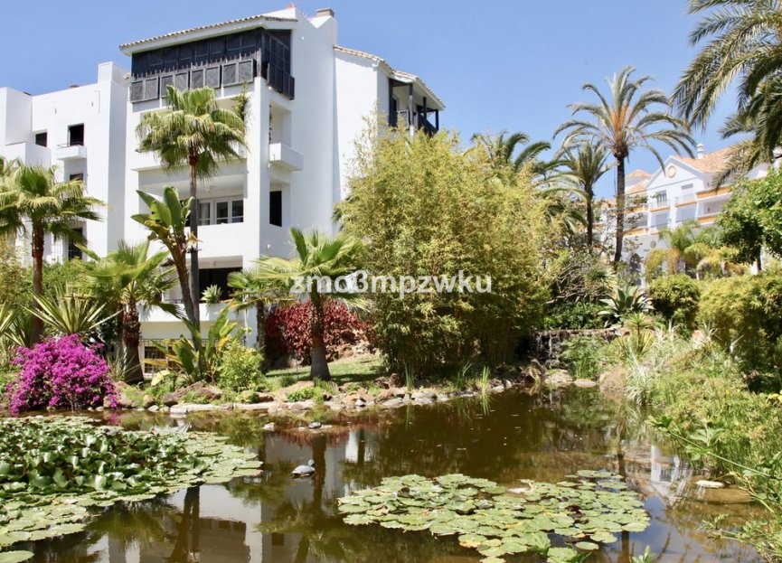 Resale - Apartment - Ground Floor Apartment - Marbella - Elviria