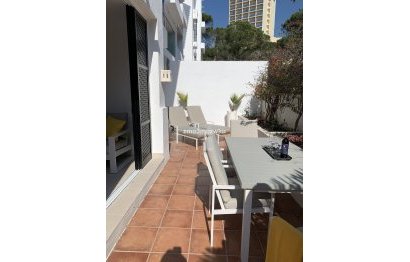 Resale - Apartment - Ground Floor Apartment - Marbella - Elviria