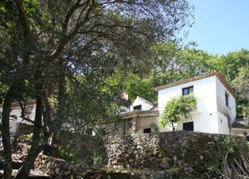 Resale - House - Finca - Cortijo - Casares - Casares Centro