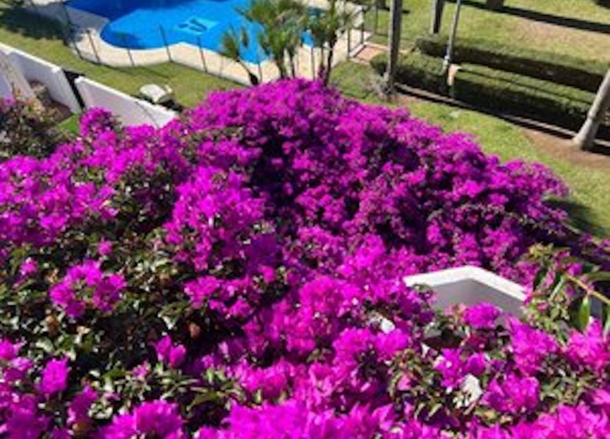 Resale - House - Townhouse - Marbella - Nueva Andalucia