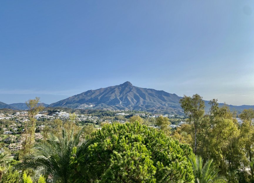 Resale - Apartment - Middle Floor Apartment - Marbella - Nueva Andalucia