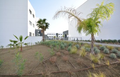 Resale - Apartment - Middle Floor Apartment - Estepona - Estepona Centro