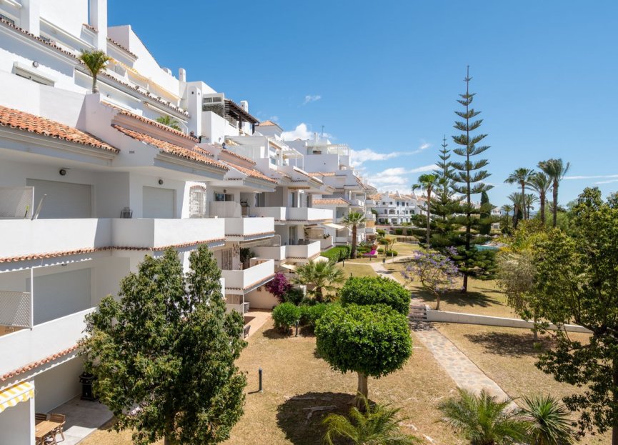 Resale - Apartment - Middle Floor Apartment - Marbella - Nueva Andalucia