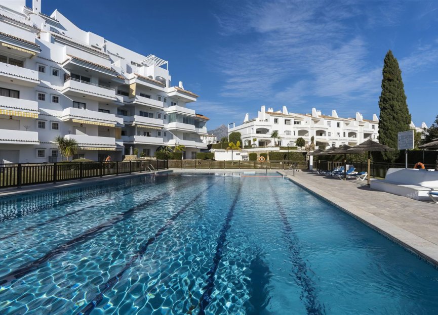 Resale - Apartment - Middle Floor Apartment - Marbella - Nueva Andalucia