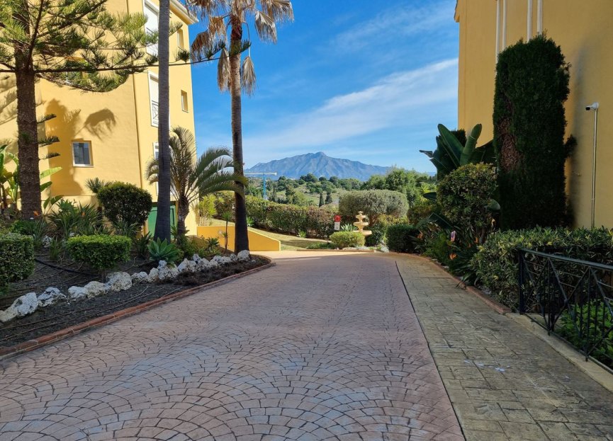 Resale - Apartment - Top Floor Apartment - Estepona - Estepona Centro