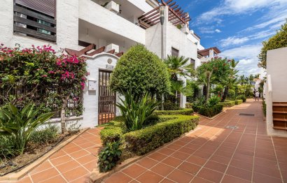 Reventa - Apartment - Ground Floor Apartment - Marbella - Nueva Andalucia