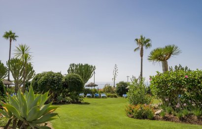 Resale - Apartment - Ground Floor Apartment - Estepona - Costalita