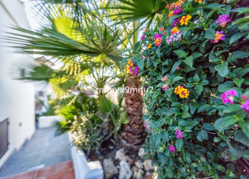 Resale - House - Detached Villa - Mijas - El Chaparral