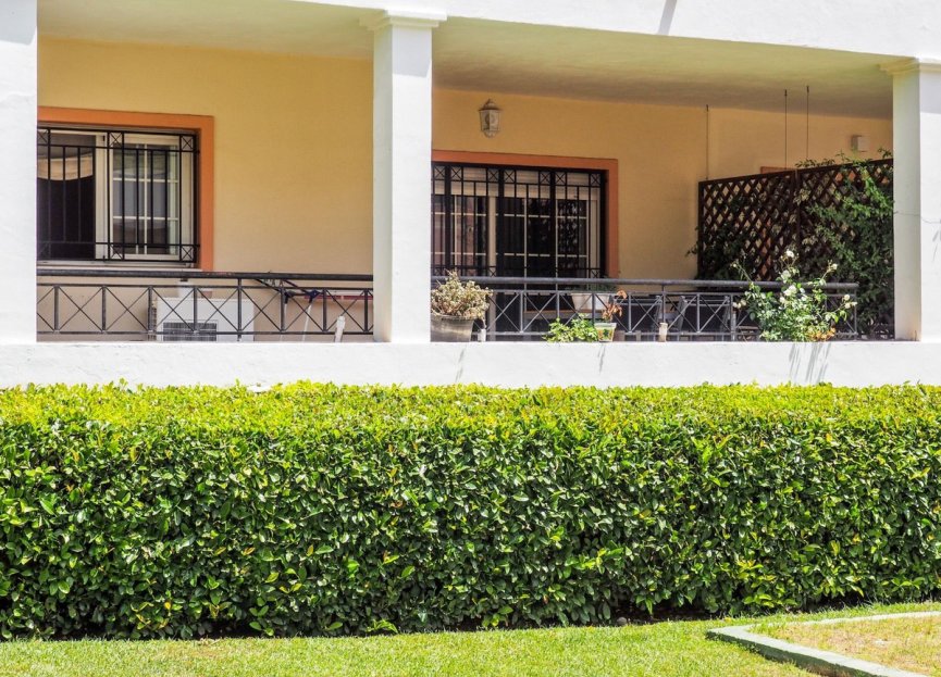 Resale - Apartment - Ground Floor Apartment - Marbella - Nueva Andalucia