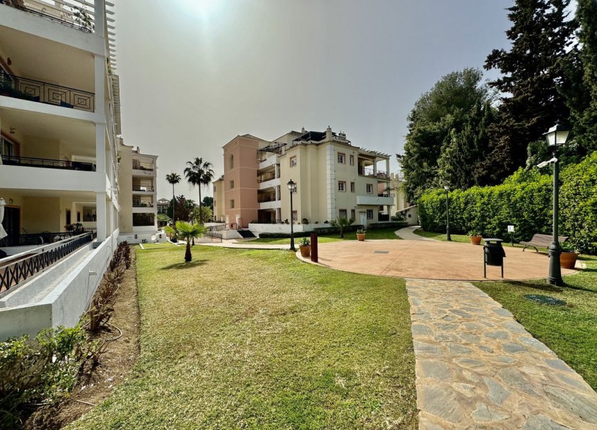 Resale - Apartment - Ground Floor Apartment - Marbella - Nueva Andalucia