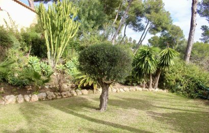 Resale - House - Detached Villa - Marbella - Hacienda Las Chapas