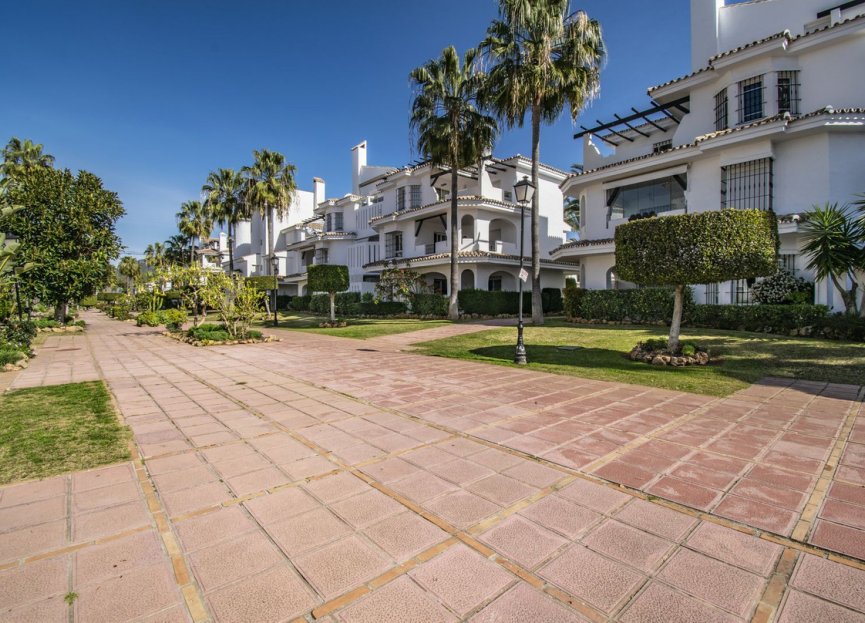 Resale - Apartment - Ground Floor Apartment - Marbella - Nueva Andalucia