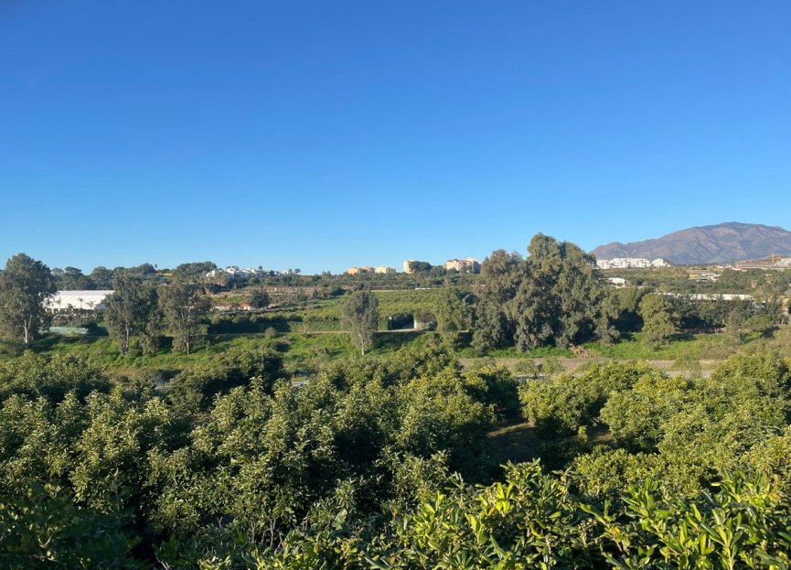 Resale - House - Detached Villa - Estepona - Estepona Centro