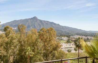 Resale - Apartment - Middle Floor Apartment - Marbella - Nueva Andalucia