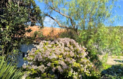 Resale - House - Detached Villa - Casares - Casares Centro