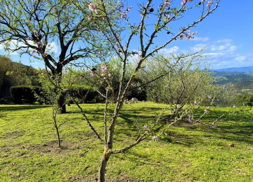 Resale - House - Detached Villa - Casares - Casares Centro