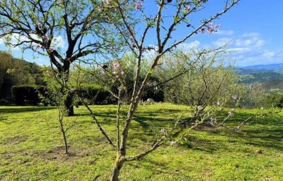 Resale - House - Detached Villa - Casares - Casares Centro