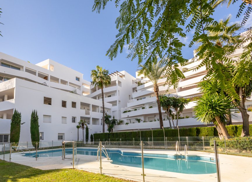 Resale - Apartment - Middle Floor Apartment - Marbella - Nueva Andalucia