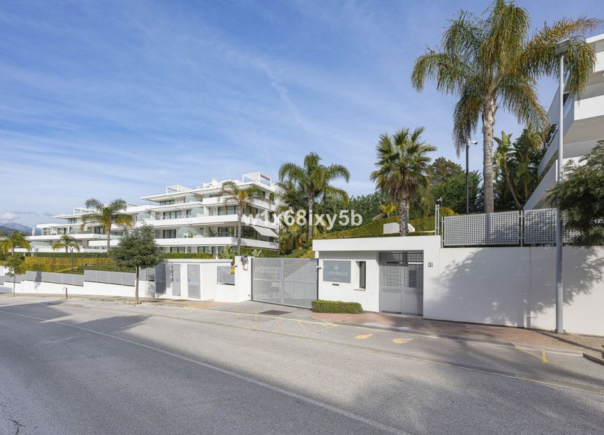 Resale - Apartment - Ground Floor Apartment - Estepona - Estepona Centro