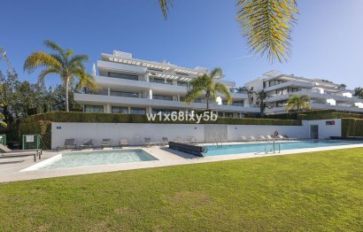 Resale - Apartment - Ground Floor Apartment - Estepona - Estepona Centro