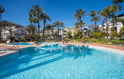 Resale - Apartment - Ground Floor Apartment - Estepona - Estepona Centro