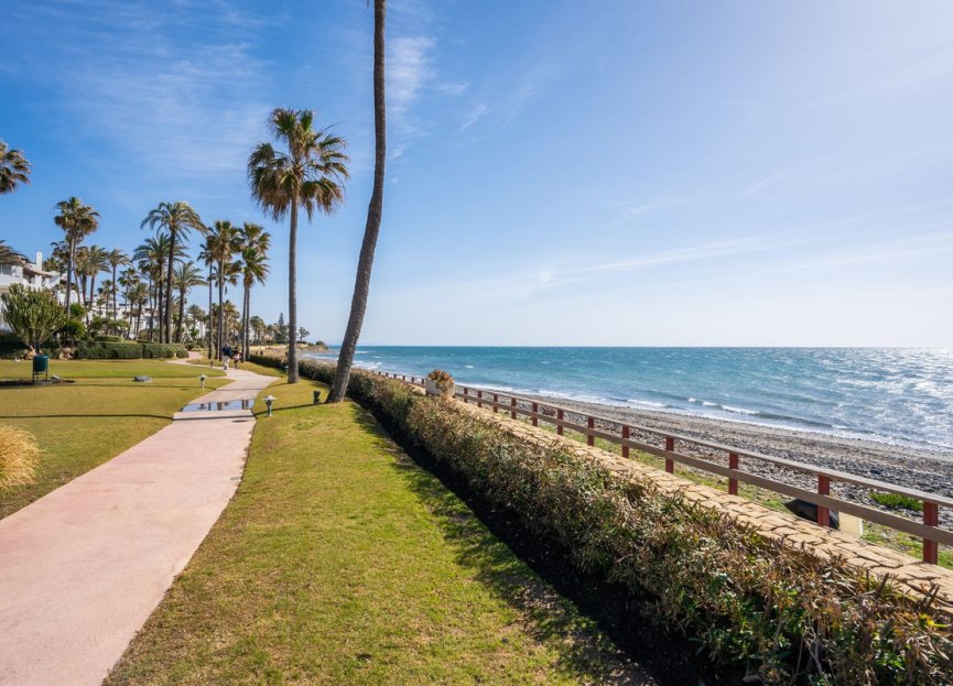 Resale - Apartment - Ground Floor Apartment - Estepona - Estepona Centro