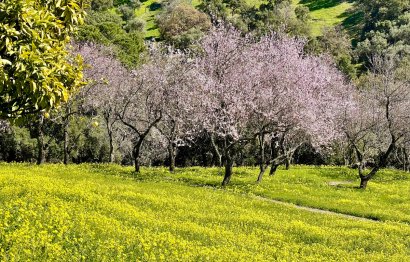 Resale - Plot - Land - Casares - Casares Centro