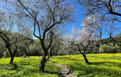 Resale - Plot - Land - Casares - Casares Centro