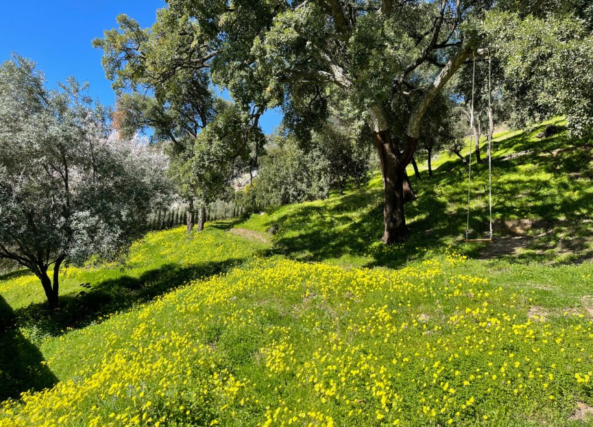 Reventa - Plot - Land - Casares - Casares Centro