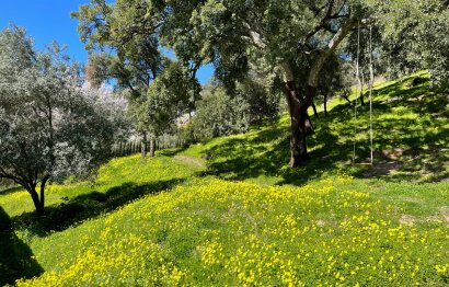 Reventa - Plot - Land - Casares - Casares Centro