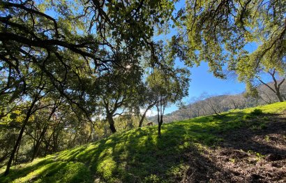 Reventa - Plot - Land - Casares - Casares Centro