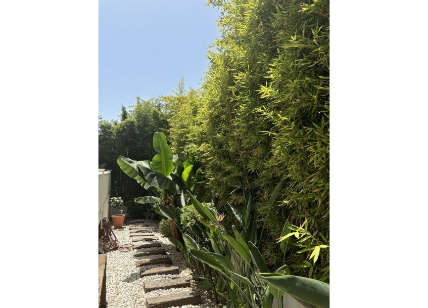 Resale - House - Semi-Detached House - Marbella - Costabella