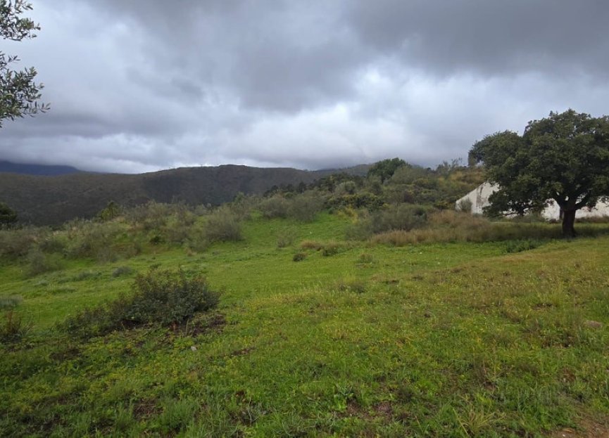 Resale - Plot - Land - Benahavís - Benahavís Centro