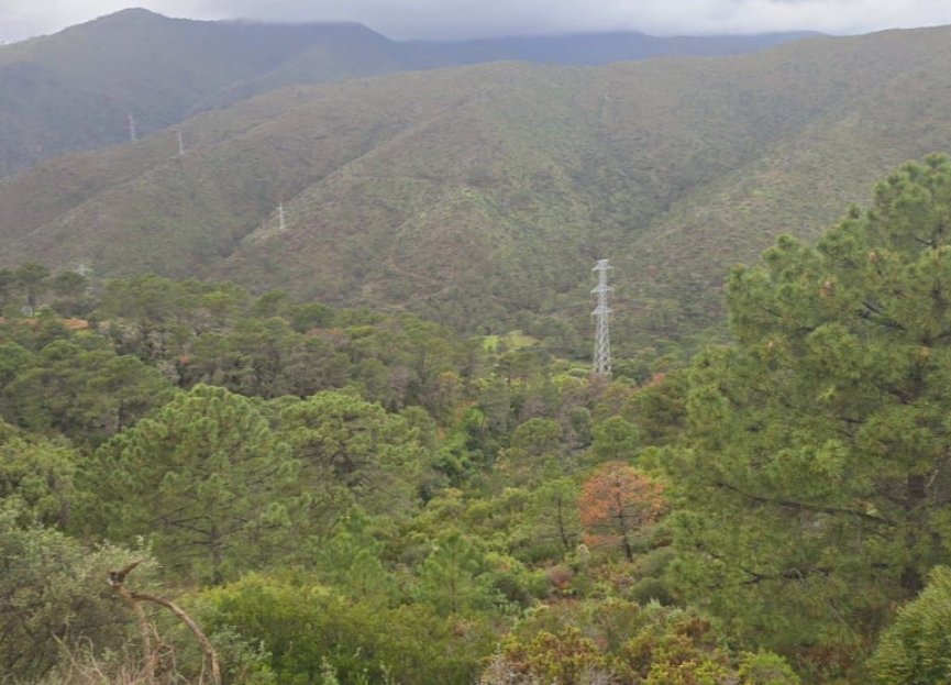 Reventa - Plot - Land - Benahavís - Benahavís Centro