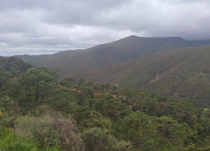 Reventa - Plot - Land - Benahavís - Benahavís Centro