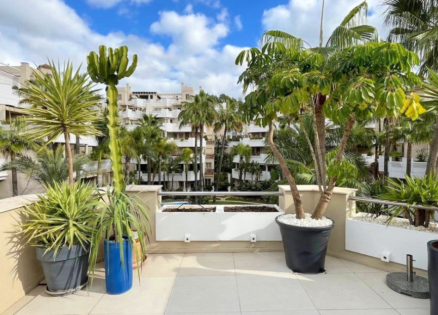 Resale - Apartment - Penthouse - Marbella - Aloha