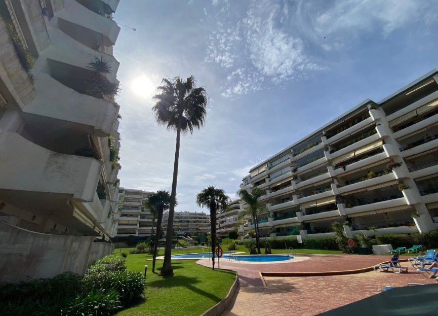 Resale - Apartment - Middle Floor Apartment - Marbella - Guadalmina Alta