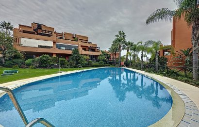 Reventa - Apartment - Ground Floor Apartment - Estepona - Estepona Centro